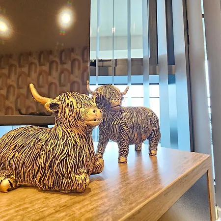 Modern Center With Terrace