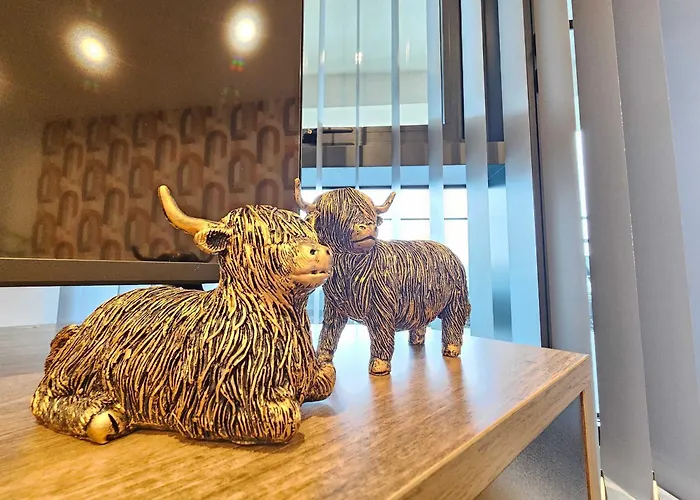 Modern Center With Terrace